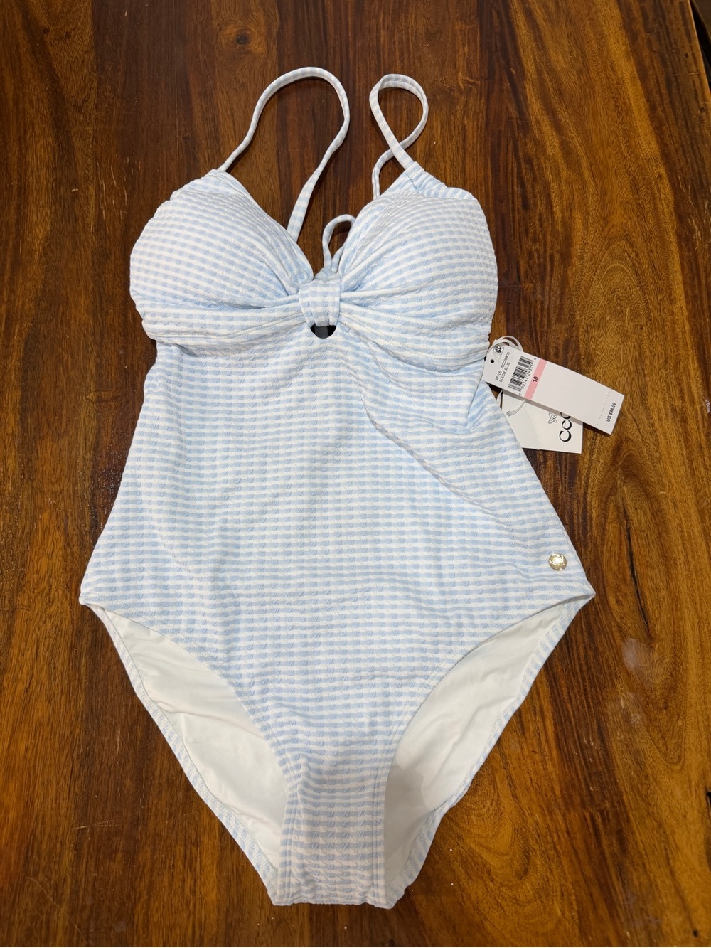 CeCe Light Blue and White Striped One-Piece Swimsuit
